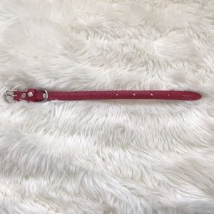 Genuine Stingray Luxury Dog Collar